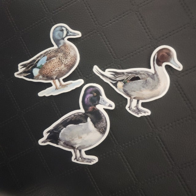 InkBird Print Studio vinyl die cut duck stickers, three colorful designs, unique detailing, glossy finish on textured black surface. Printed for Good Days Marina