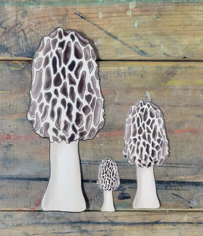 Morel Mushroom Decal | Weatherproof Contour-Cut Sticker | Made in Michigan
