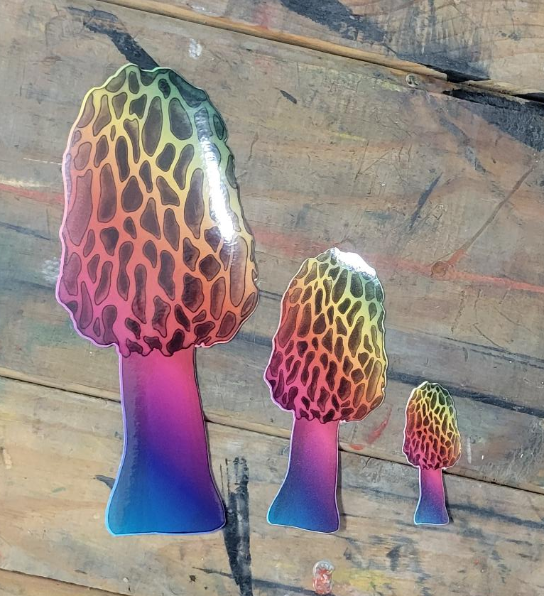 Morel Mushroom Decal | Weatherproof Contour-Cut Sticker | Made in Michigan