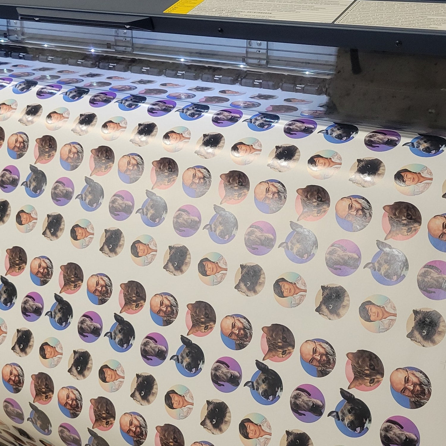 Epson 40600 printing custom wrapping paper for a client of InkBird Print Studio This paper features multiple colorful circles with faces of pets and people in them.
