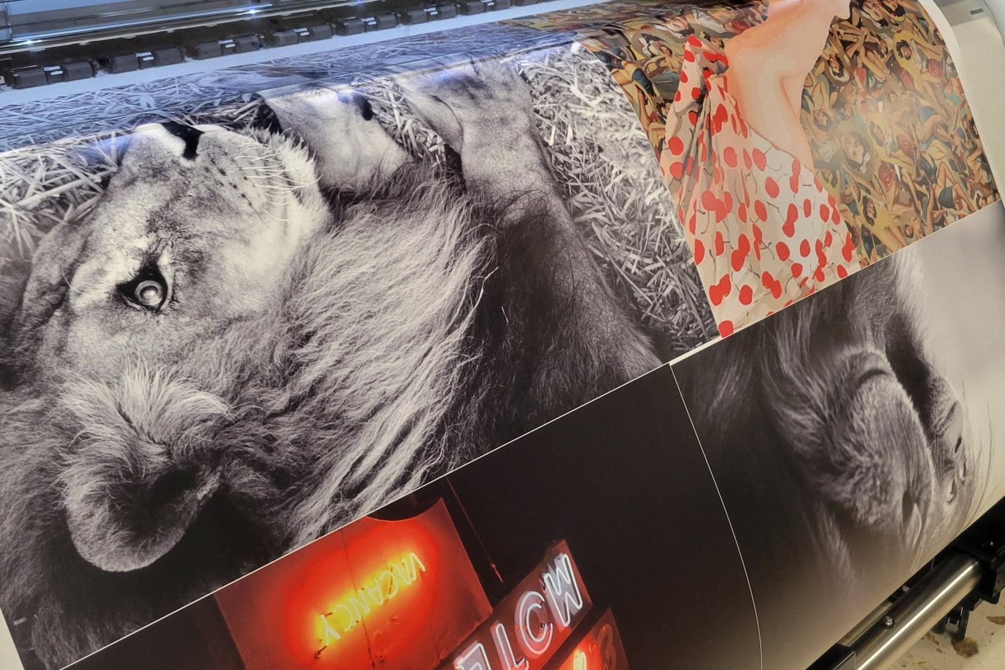 Four large photos being printed on Sihl PhotoBoard, ready to be trimmed to bleed and framed. Bright colors, crisp lines and detail from the Epson 40600