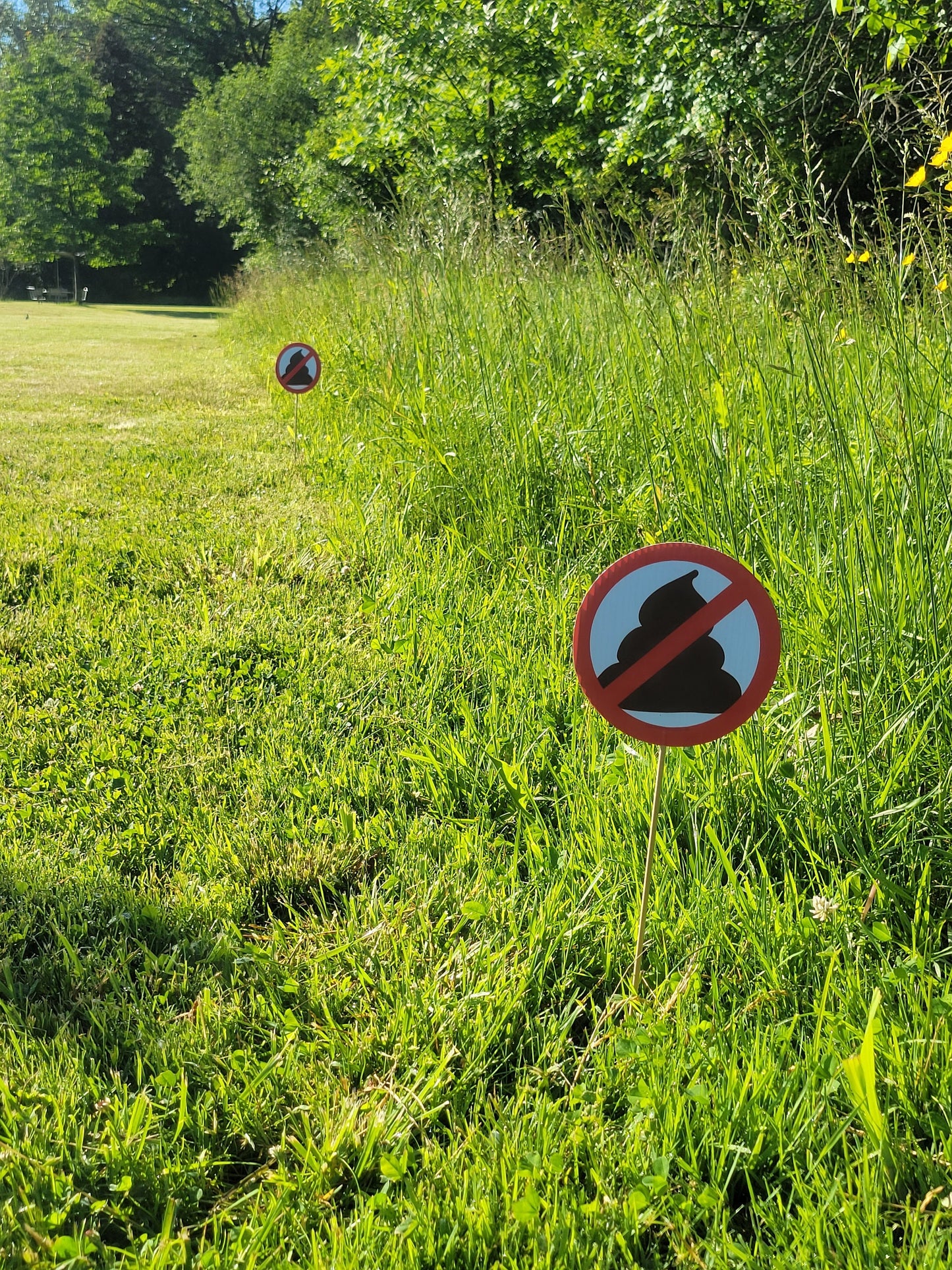 a photo of multiple no pooping yard signs (round, 6 inch diameter) in a row, marking the perimeter of a property. 