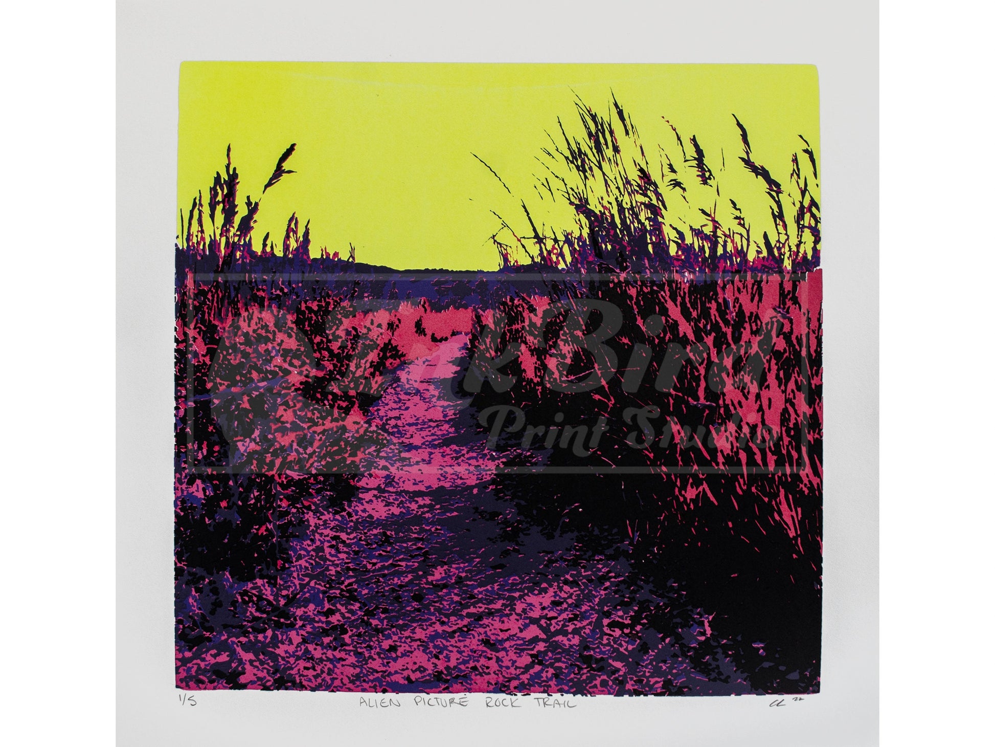 This hand-pulled, six-color screen print from InkBird Print Studio LLC, titled "Alien Picture Rock Trail" offers an alternate colorized view of Picture Rock Trail in Lyons, CO. The scene is framed by tall grasses and plants and is dominated by psychedelic colors: a bright yellow sky, deep pink path, and purple vegetation create an abstract and surreal landscape.